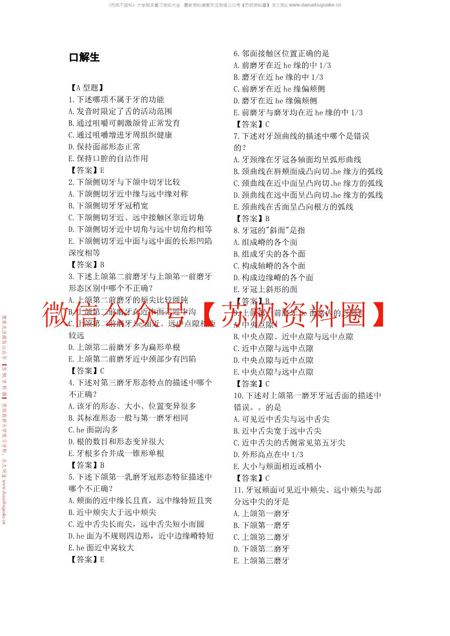 口腔解剖生理学